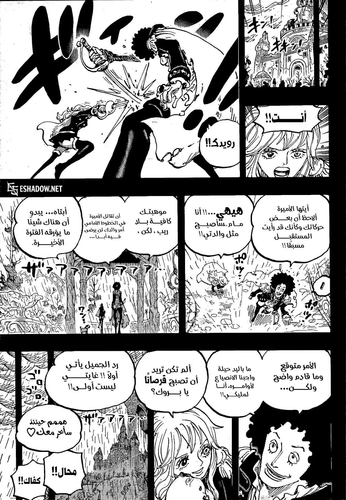 الصفحة 11