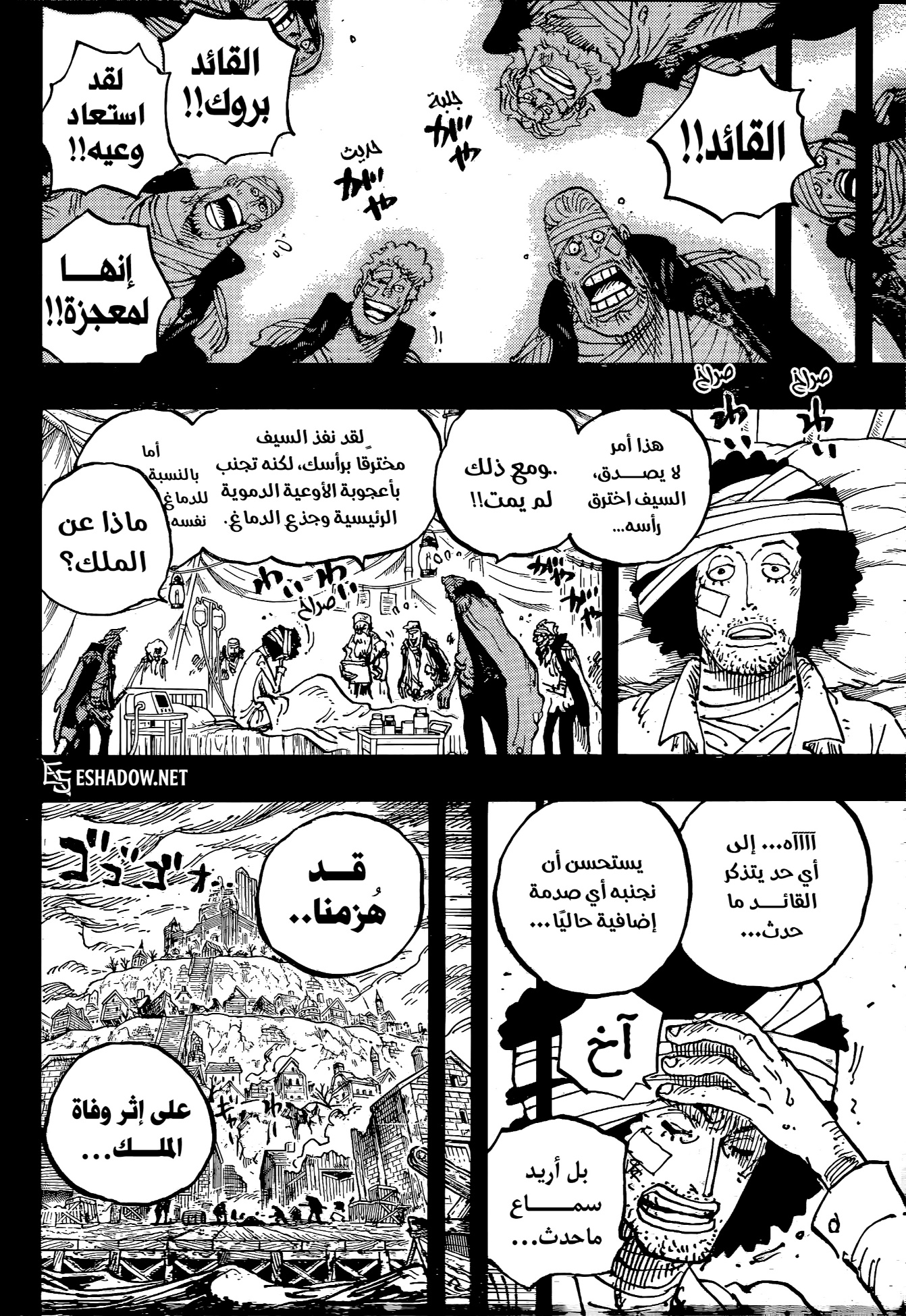 الصفحة 10