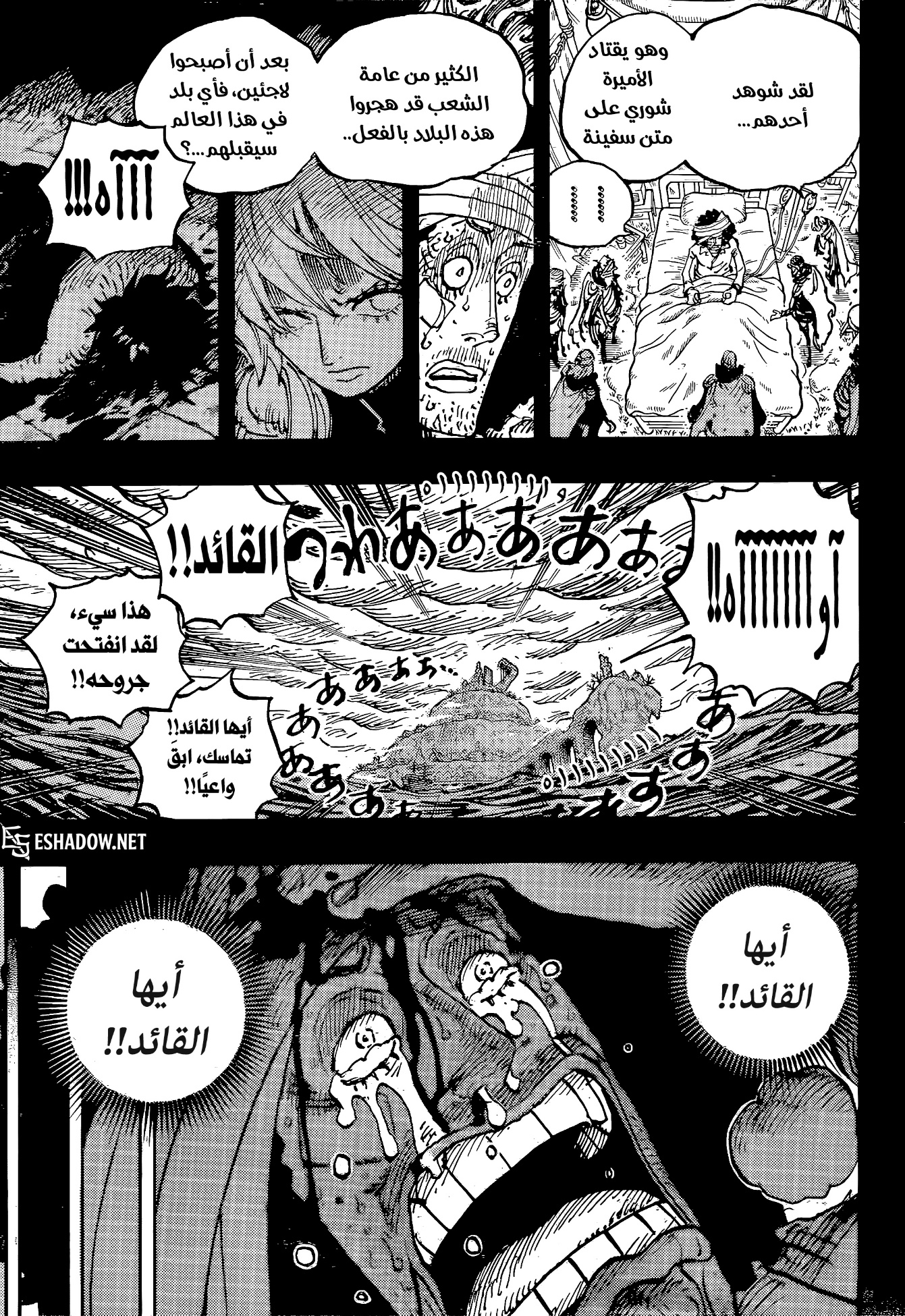 الصفحة 11