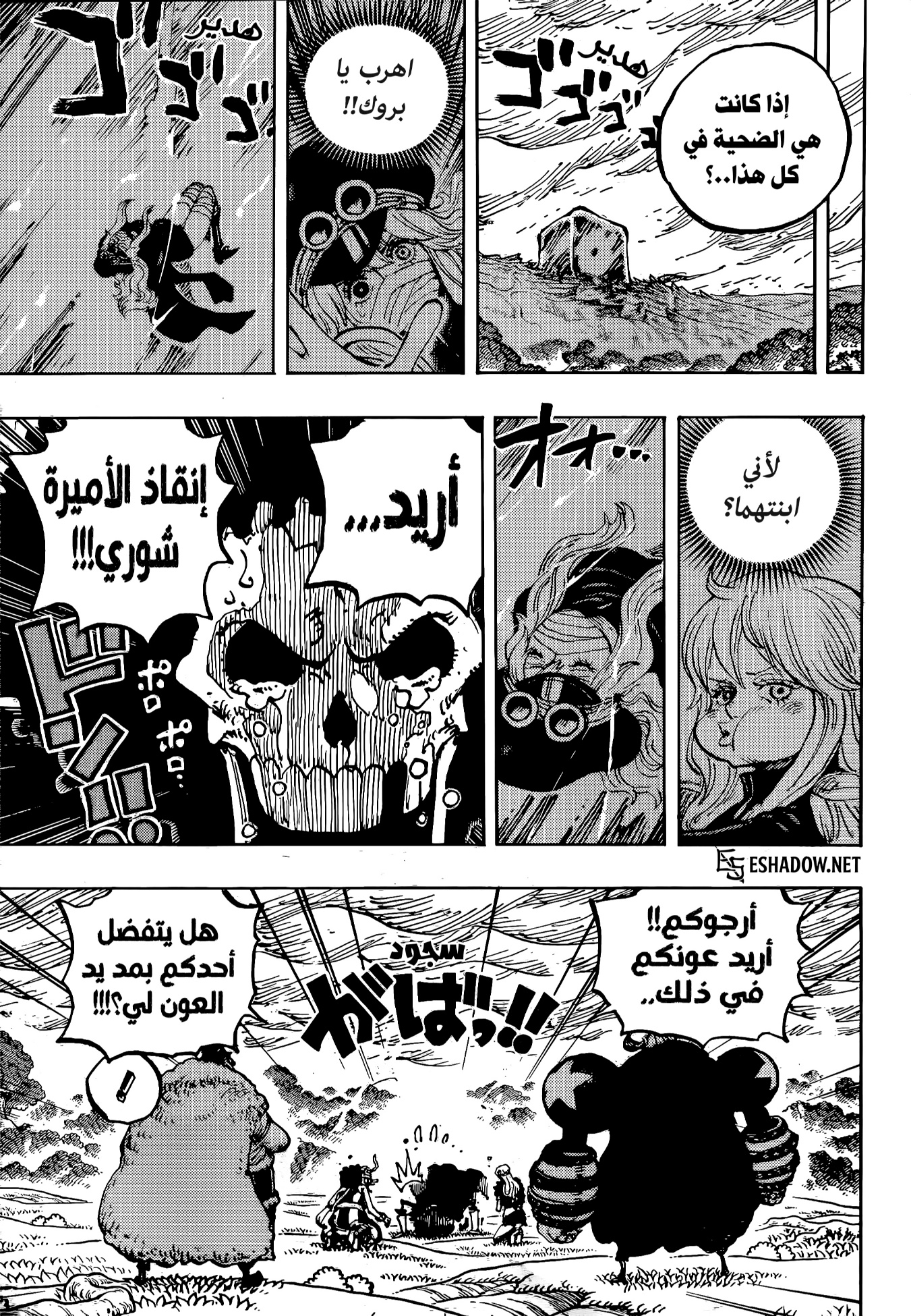 الصفحة 13