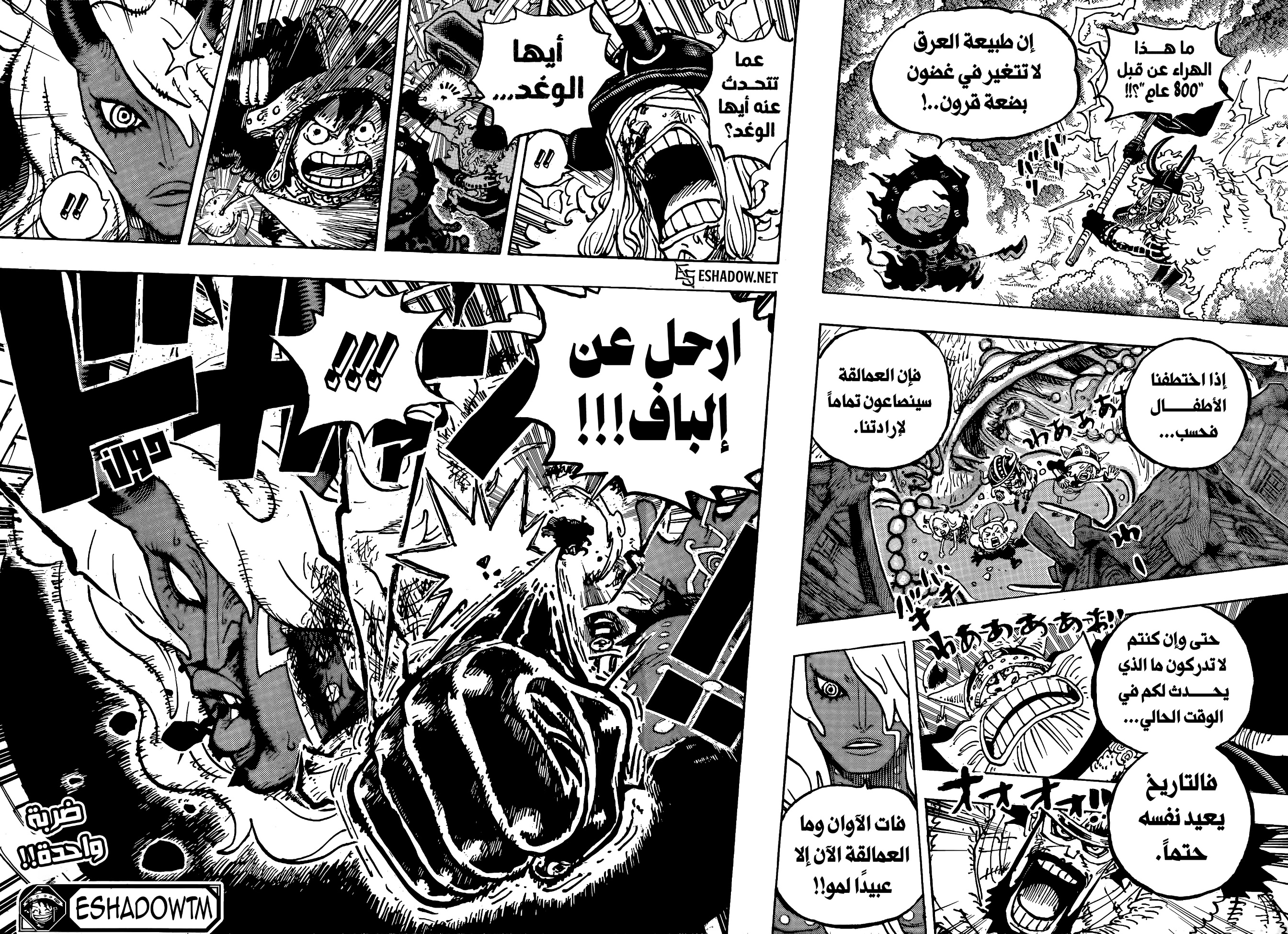 الصفحة 16