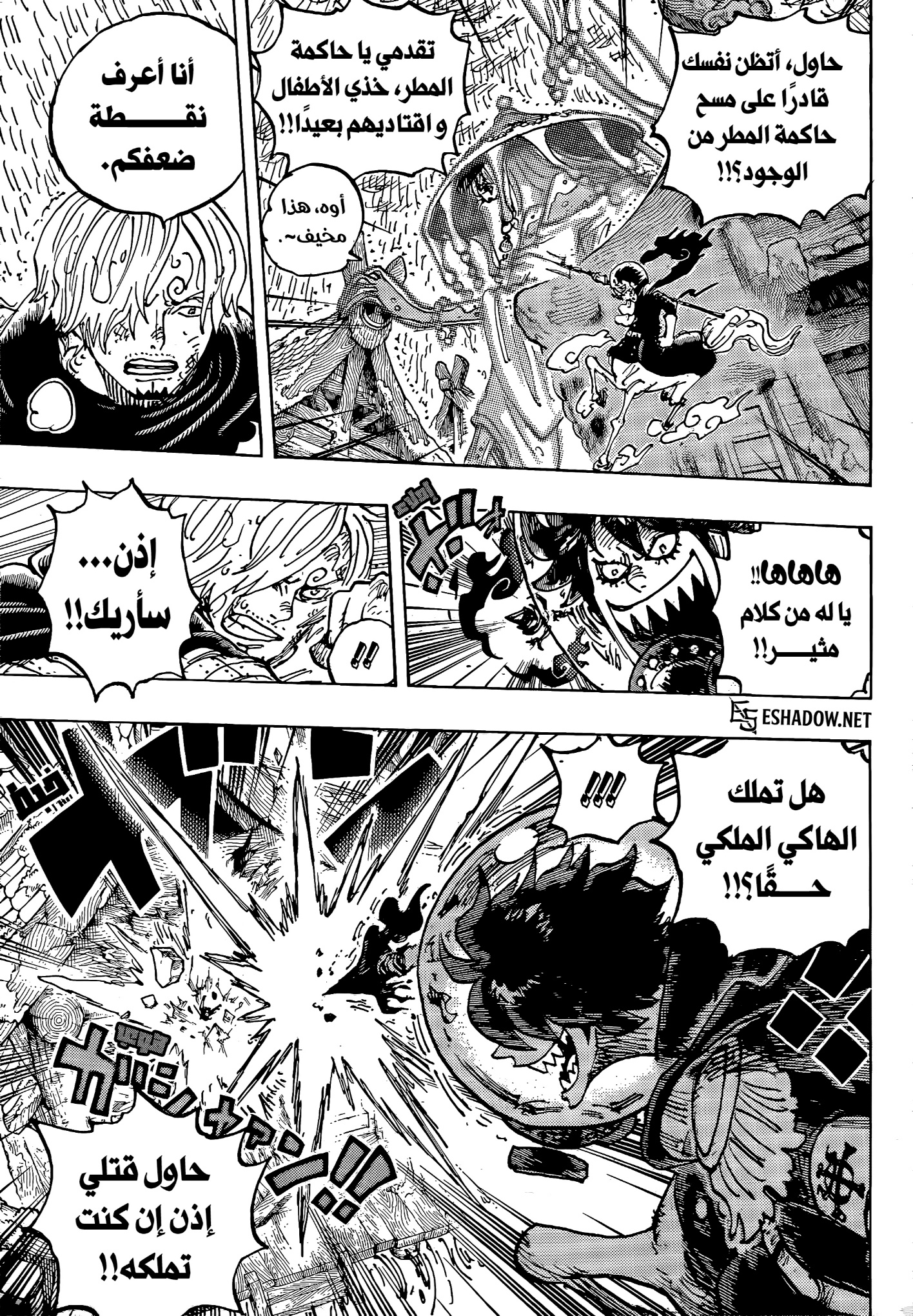 الصفحة 11