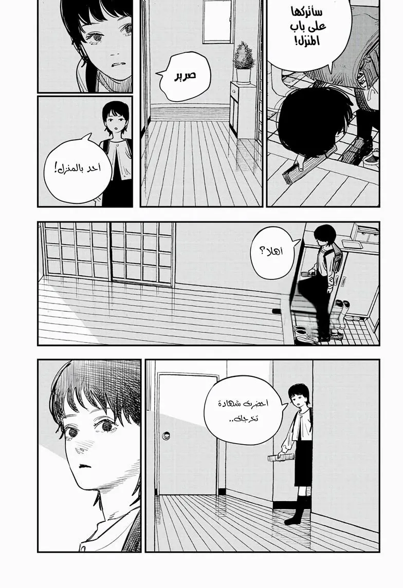 الصفحة 13